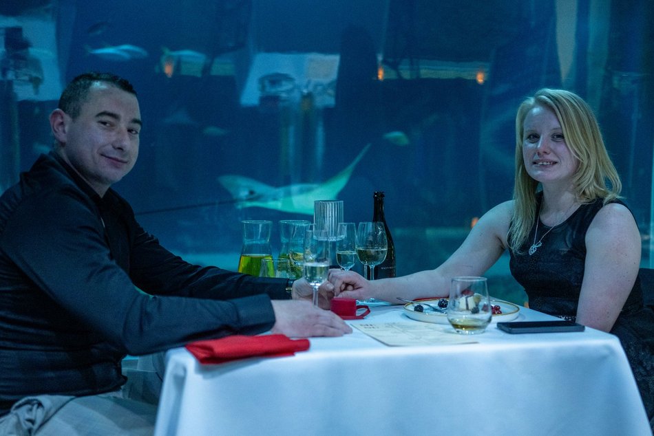 Łódź. Walentynki w Orientarium Zoo Łódź. Przysmaki, koncert na harfie i... zaręczyny