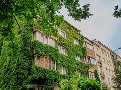 Łódź. To najbardziej zielona kamienica w Łodzi. Ten widok zapiera dech!