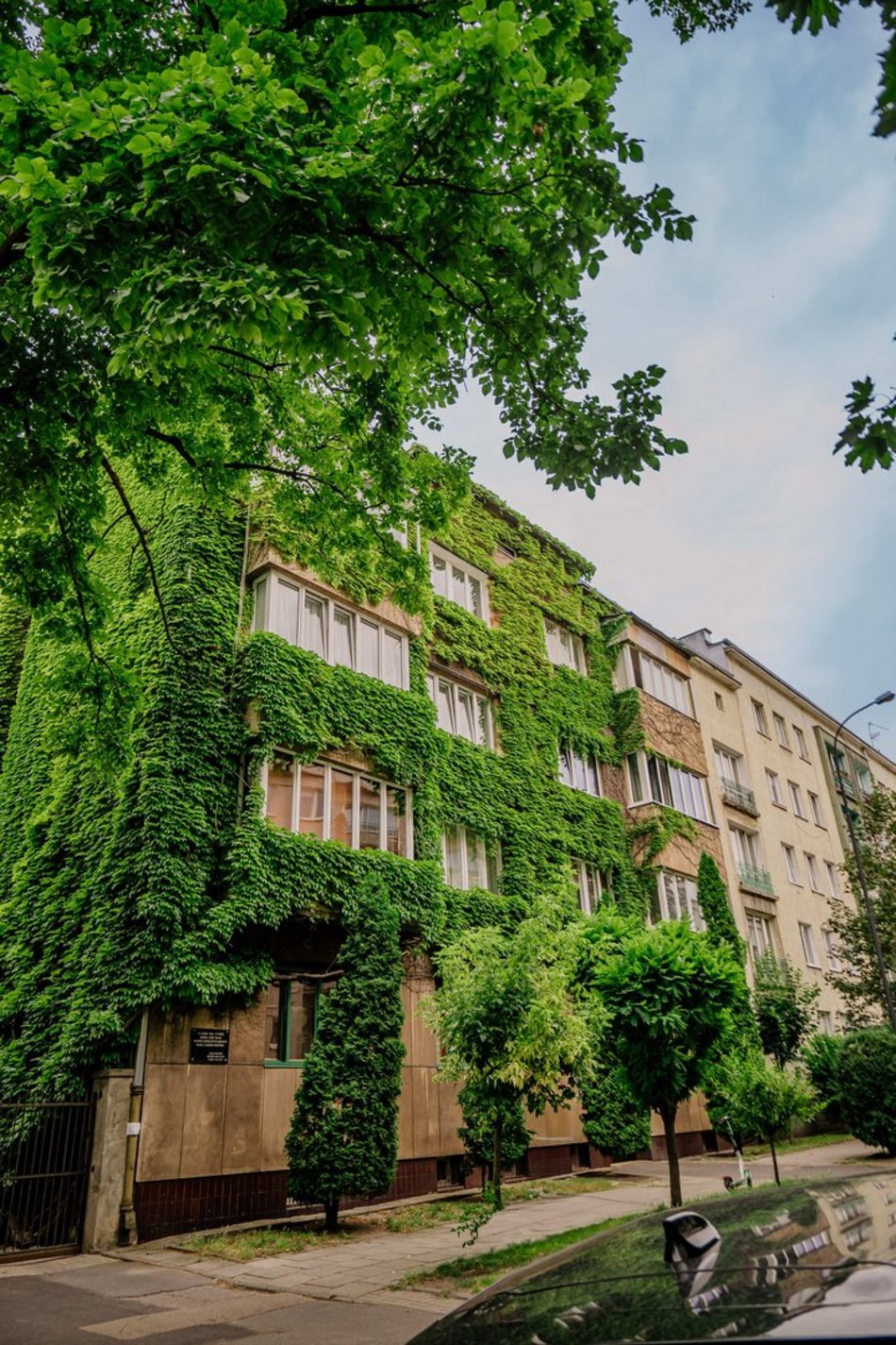 Łódź. To najbardziej zielona kamienica w Łodzi. Ten widok zapiera dech!