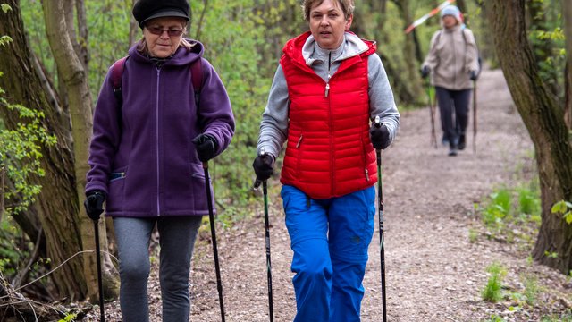 Maraton nordic walking dla seniorów przełożony! Nowa data wydarzenia w Lesie Łagiewnickim