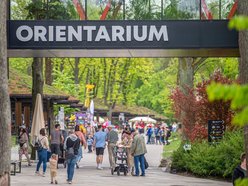 Orientarium Zoo Łódź, Aquapark Fala i Mandoria na jednym bilecie