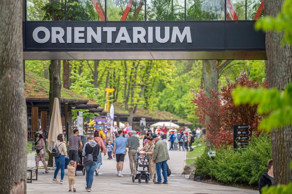 Orientarium Zoo Łódź, Aquapark Fala i Mandoria na jednym bilecie