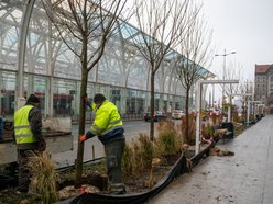 Zazieleni się przy Piotrkowskiej! Plac przy kawiarni Starbucks i hotelu Hilton zmieni się nie do poznania