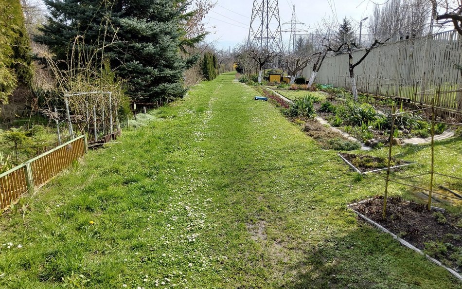 Ogród działkowy w śladzie rzeki Dąbrówki