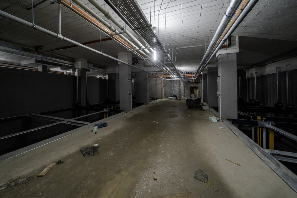 Budowa Białej Kamienicy u zbiegu Zachodniej i Więckowskiego