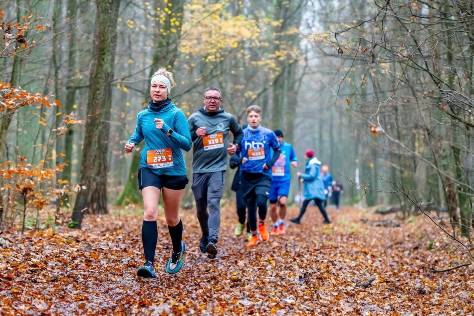 Cookie Run w Lesie Łagiewnickim w Łodzi