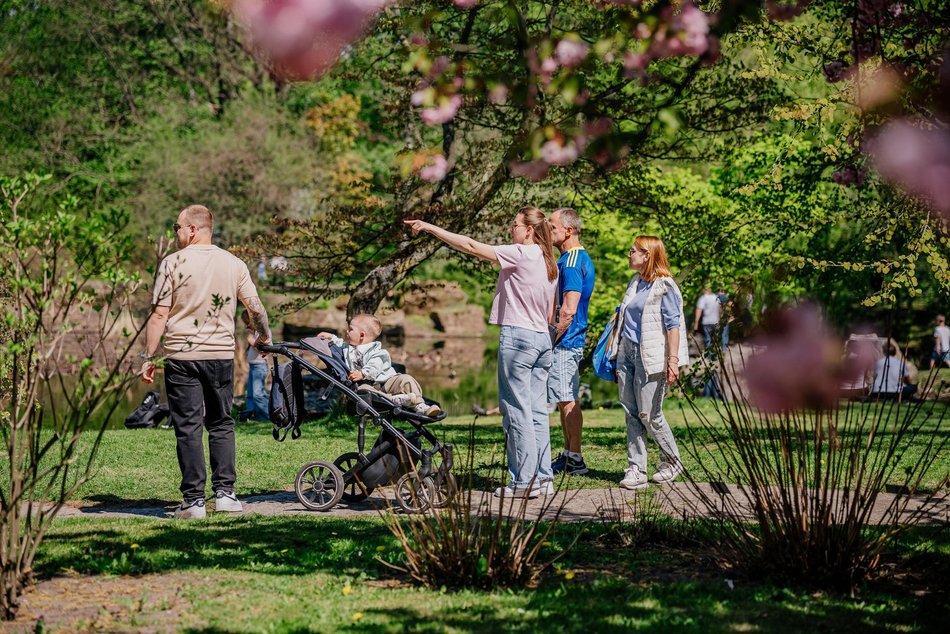 Łódź. Ogród Botaniczny w Łodzi w wiosennej odsłonie