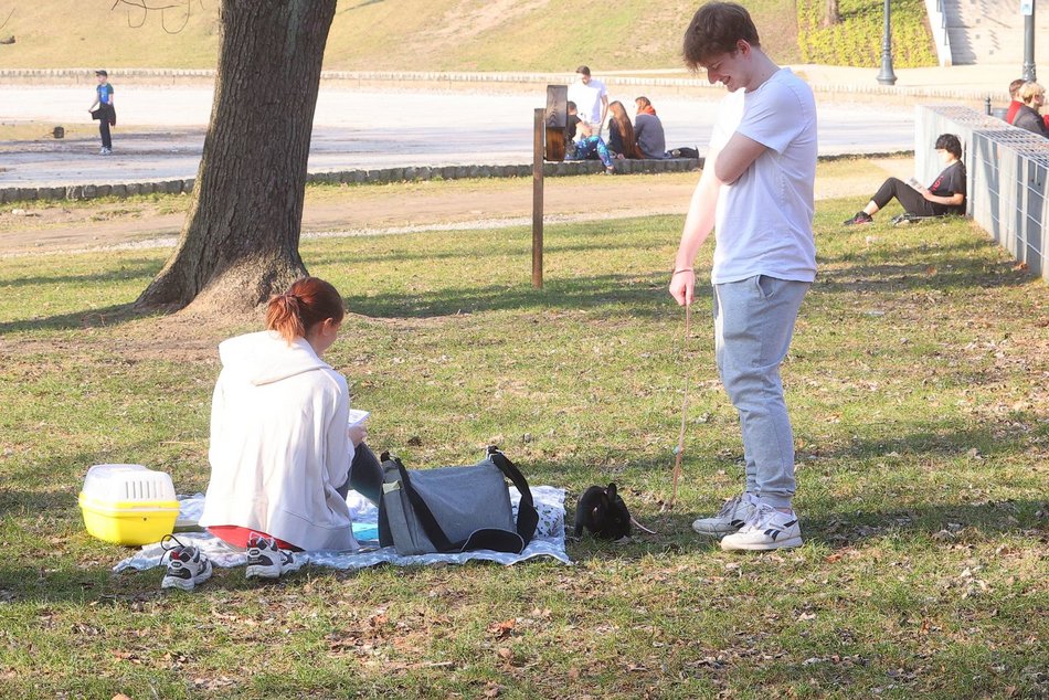 Łódź. Łódź budzi się do życia! Łodzianie i turyści tłumnie korzystają z pierwszych dni wiosny