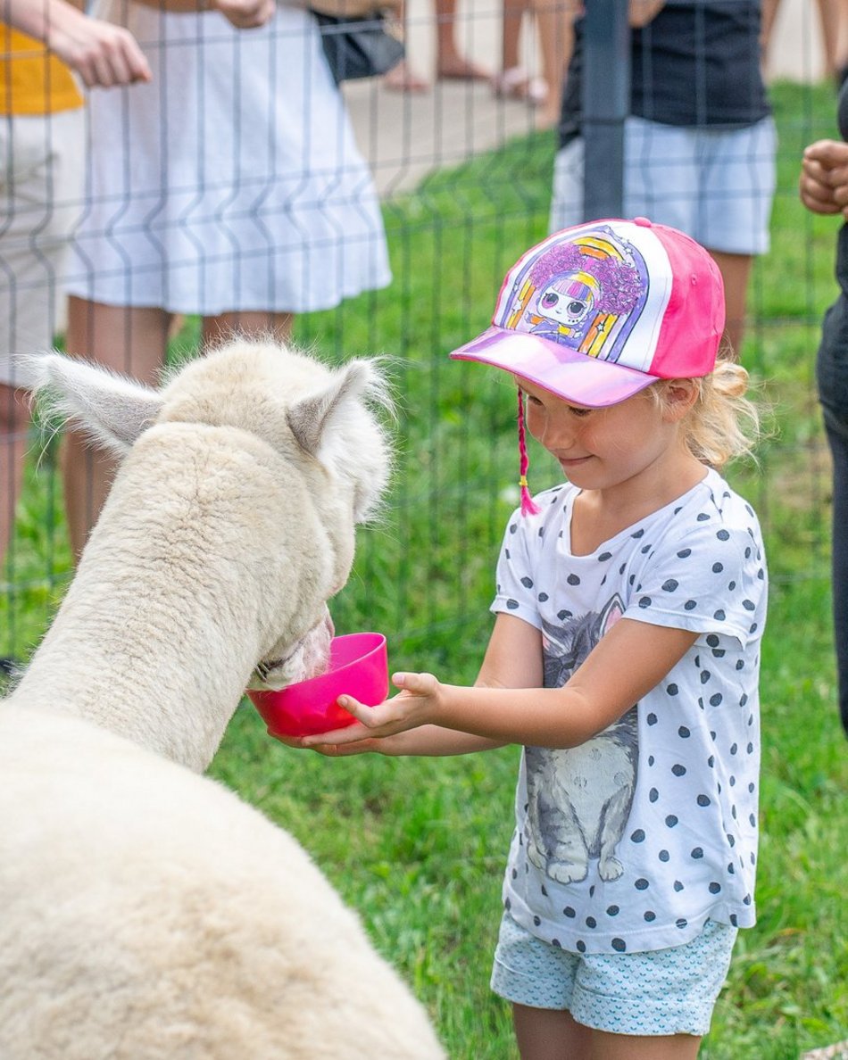 Piknik rodzinny na Stawach Jana