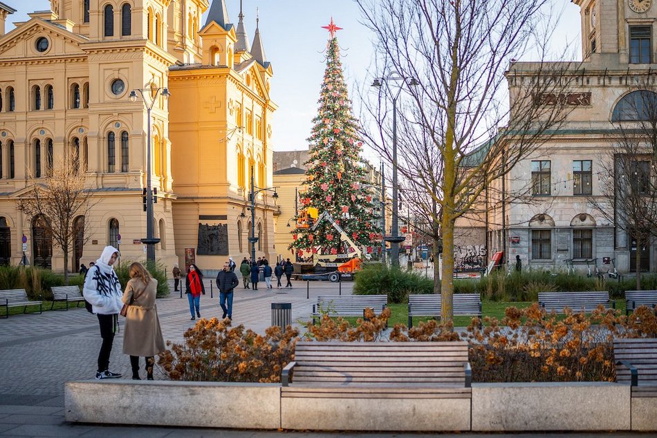 Łódź. Choinka na Piotrkowskiej prawie gotowa