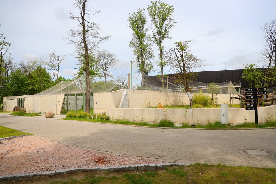 Sępy w Orientarium Zoo Łódź