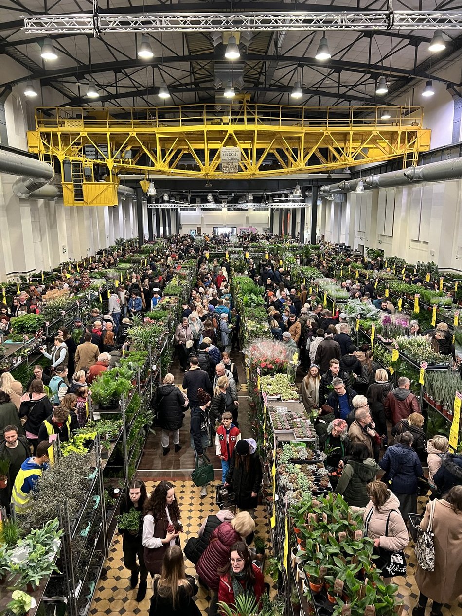 Festiwal Roślin w EC1 Łódź