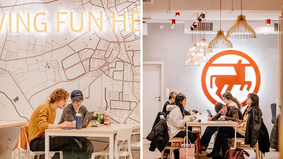 Łódź. Ruszyła akcja BUŁA do północy