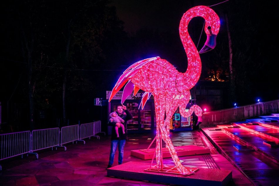 Łódź. Zimowe atrakcje dla dzieci w Łodzi. 9 pomysłów na udane popołudnie