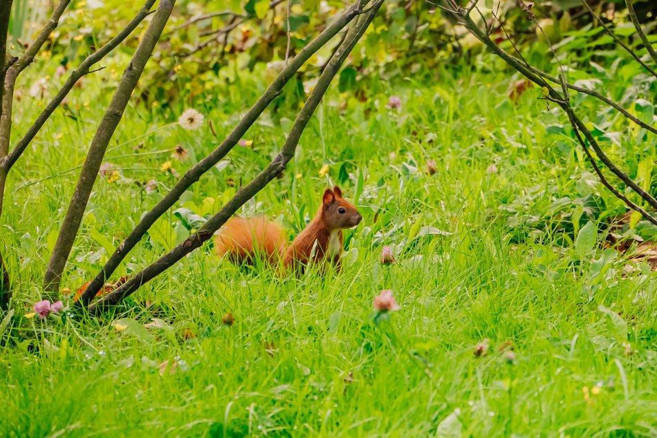 Łódź. Jesień w Ogrodzie Botanicznym w Łodzi. Tam z pewnością pokochasz tę porę roku!