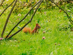 Łódź. Jesień w Ogrodzie Botanicznym w Łodzi. Tam z pewnością pokochasz tę porę roku!