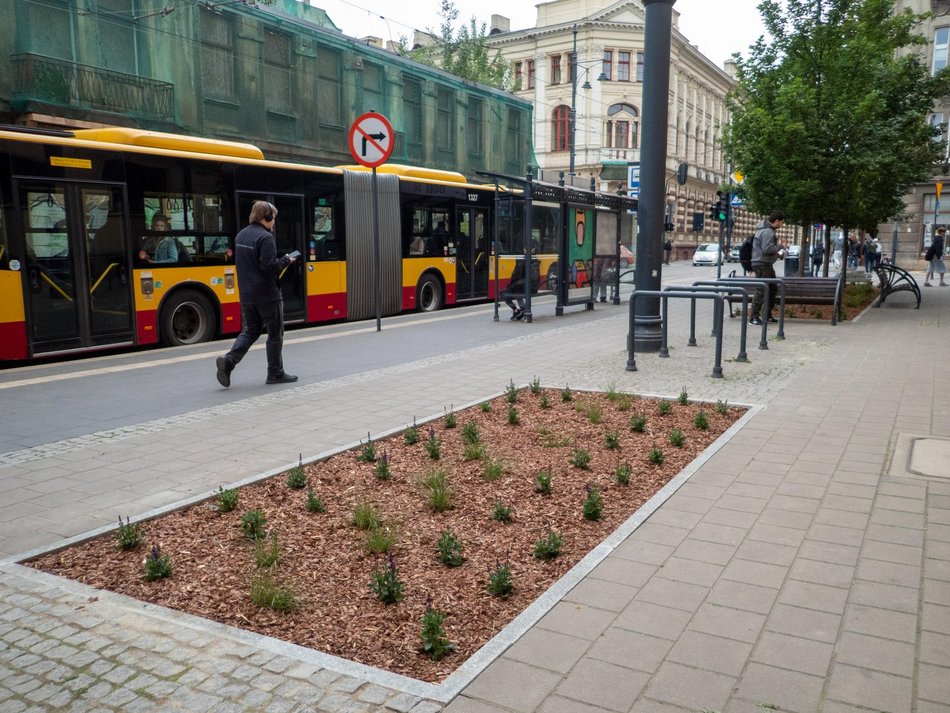 Łódź. Zmiany na skrzyżowaniu Kilińskiego i Tuwima w Łodzi. Mniej betonu, więcej zieleni!