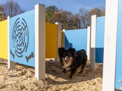 Łódź. Budżet Obywatelski Łódź 2025. Od konia Tadka po place zabaw – tak wspólnie zmieniliśmy Łódź!