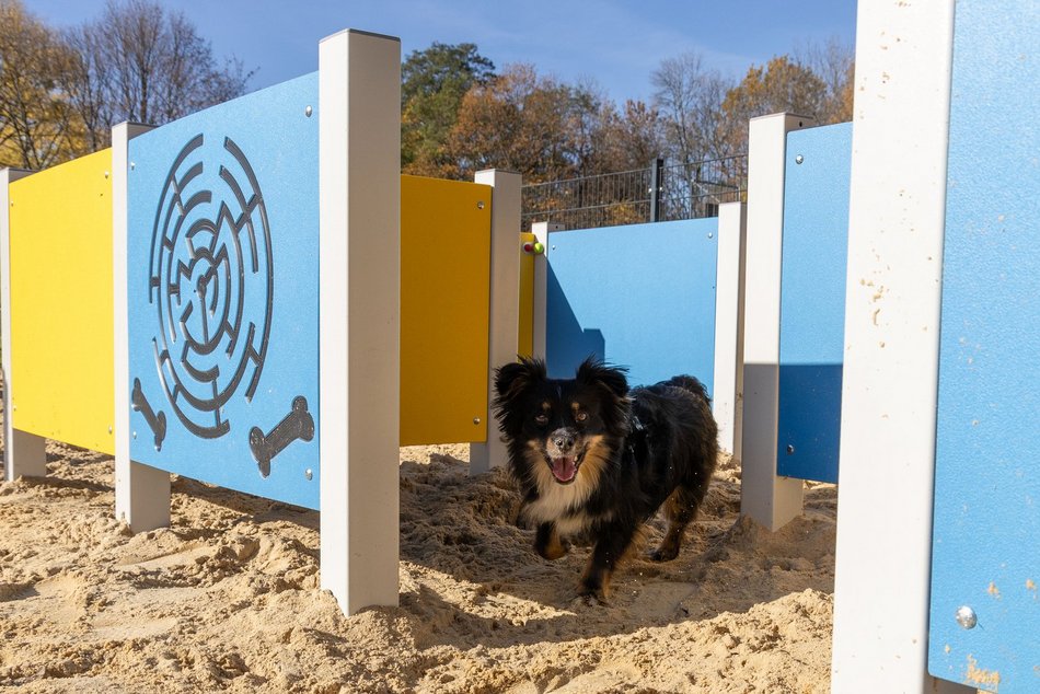 Łódź. Budżet Obywatelski Łódź 2025. Od konia Tadka po place zabaw – tak wspólnie zmieniliśmy Łódź!