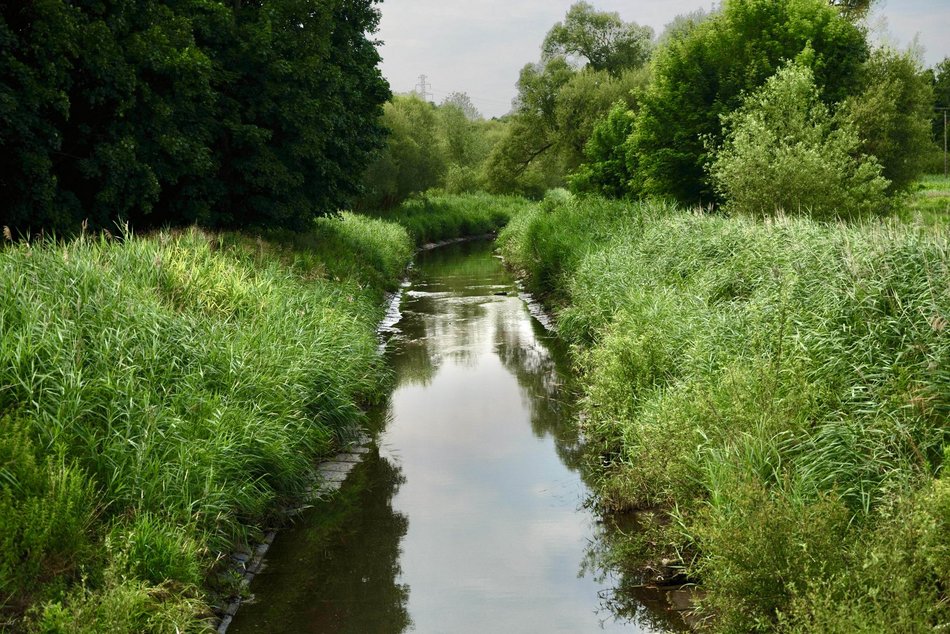 Łódź. Co żyje w rzekach w Łodzi? Dr hab. Mariusz Tszydel wie o tym bardzo dużo!