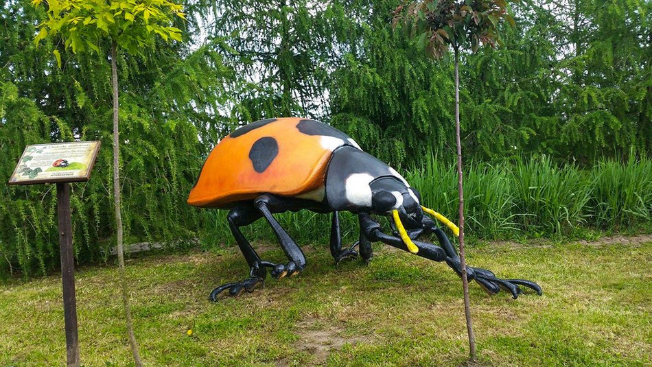 Łódź. TOP 10 miejsc w Łódzkiem na rodzinną wycieczkę. Dinozaury, safari i park linowy