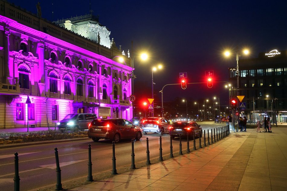 Łódź. Międzynarodowy Dzień Epilepsji w Łodzi. Pałac Poznańskich w lawendowych barwach