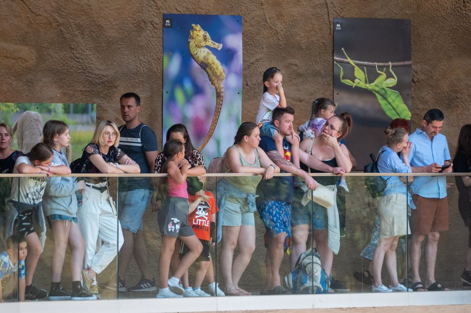 Łódź. Dzień Słonia w Orientarium Zoo Łódź. Tłumy łodzian i mnóstwo dobrej zabawy