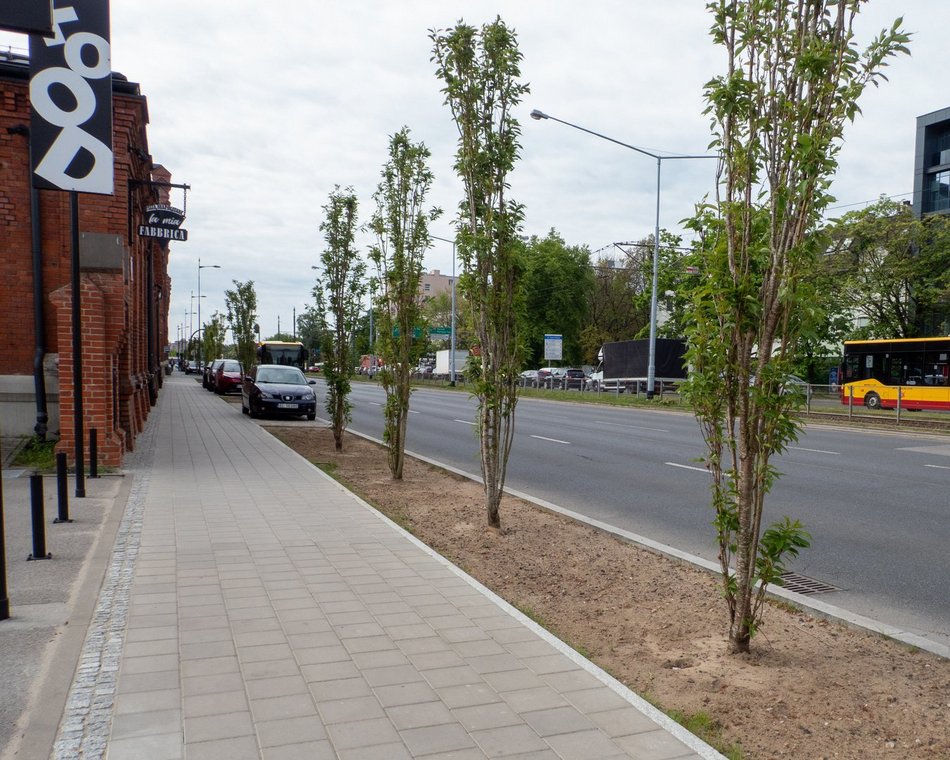 Łódź. Przy Monopolis w Łodzi jest coraz piękniej. Wspaniałe połączenie natury i nowoczesności