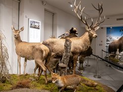 Łódź. Odkryj Muzeum Przyrodnicze w Łodzi. To niezwykły świat zwierząt, dinozaurów, tajemnic natury i przygód!