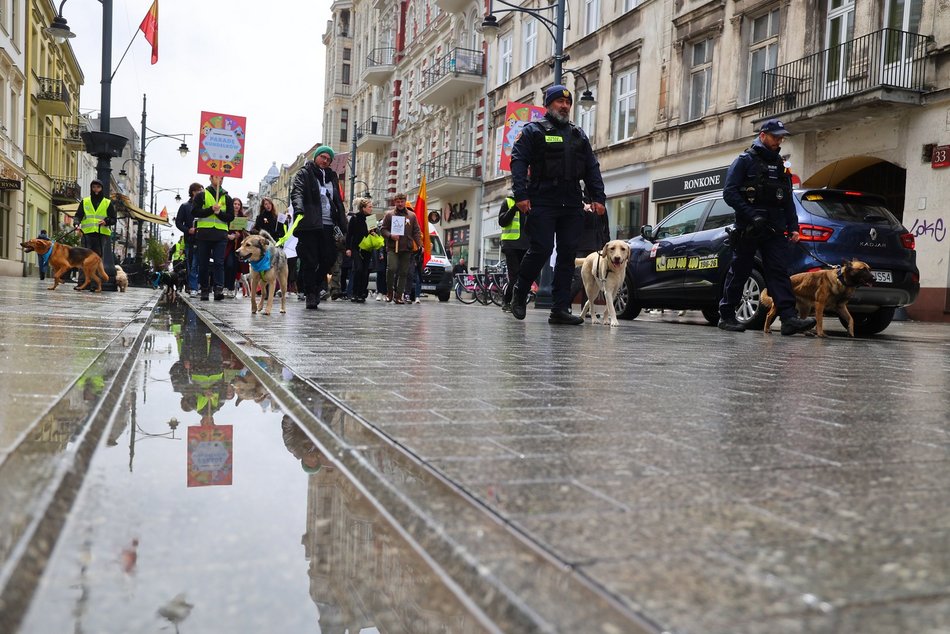 Parada kundelków w Łodzi 2025 przeszła ulicami. Skala słodyczy wysoka jak nigdy!