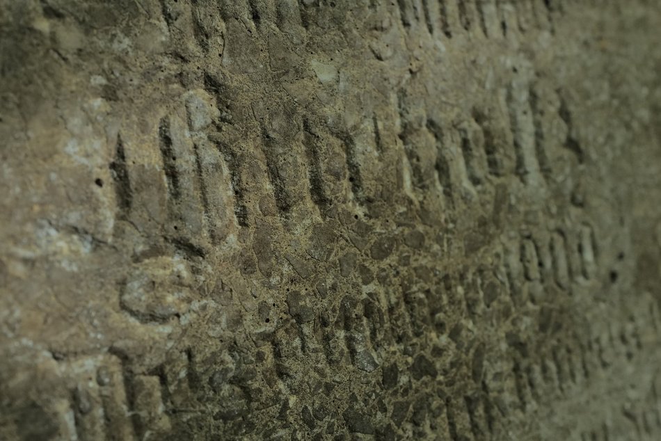 Łódź. Ludzkie kości i nagrobki w Parku Zbójnickim w Łodzi. Niezwykłe odkrycia archeologów z UŁ