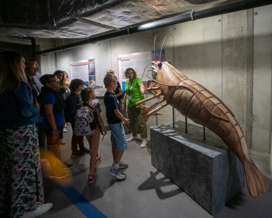 601. Urodziny Łodzi w Orientarium Zoo Łódź