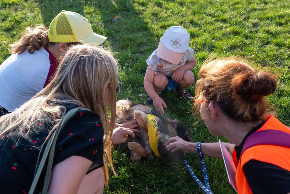 Łódź. Psia Polówka na Widzewskiej Górce. Psiaki przejęły dowodzenie!