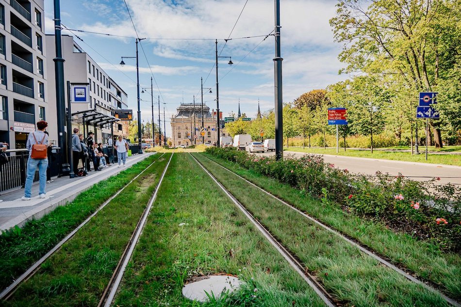 Łódź. Wrzesień w Łodzi potrafi zaskoczyć! Miasto wciąż tętni kolorami i zapachem kwiatów