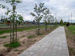 Łódź. Nowe chodniki na Widzewie. Tego chcieli mieszkańcy w Budżecie Obywatelskim
