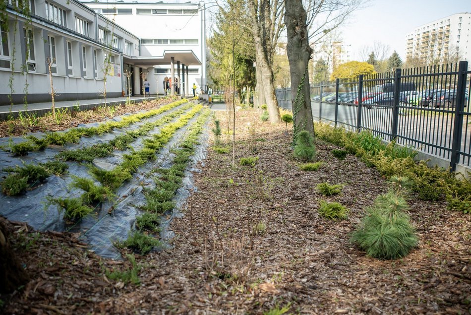 IX LO w Łodzi - fotowoltaika, ekologiczny ogródek i pompa ciepła