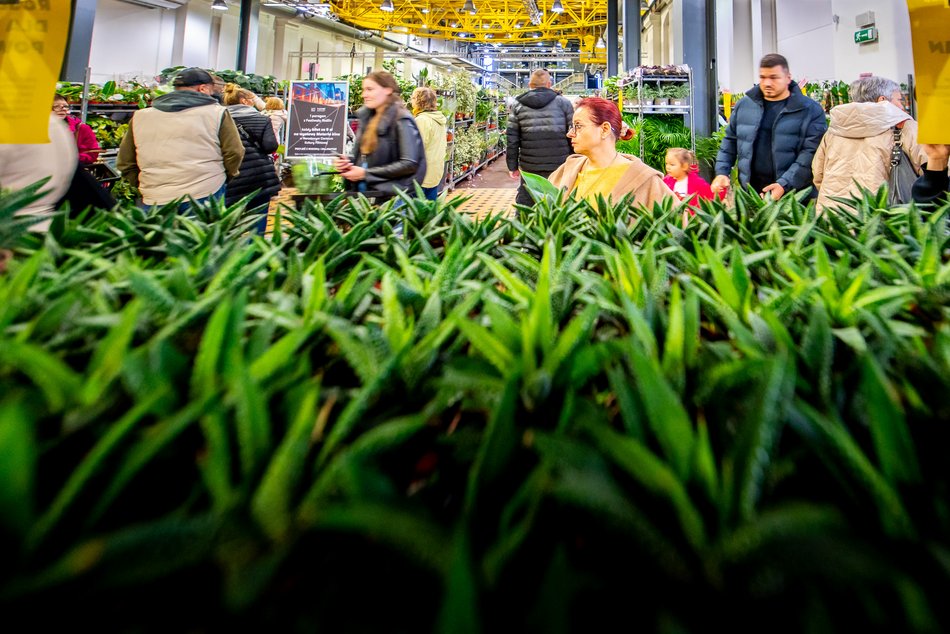 Festiwal Roślin w EC1 Łódź