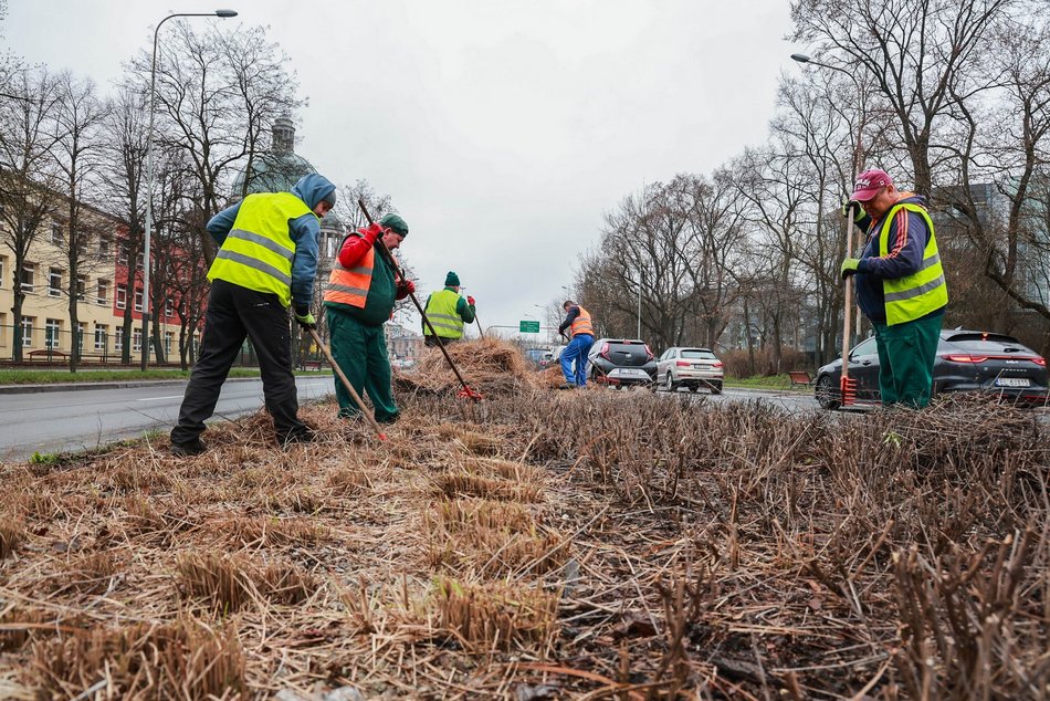 Tną trawy na Kopcińskiego w Łodzi. Wielkie przygotowania do wiosny
