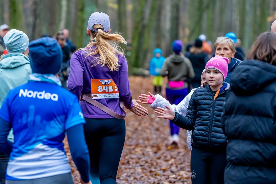 Cookie Run w Lesie Łagiewnickim w Łodzi