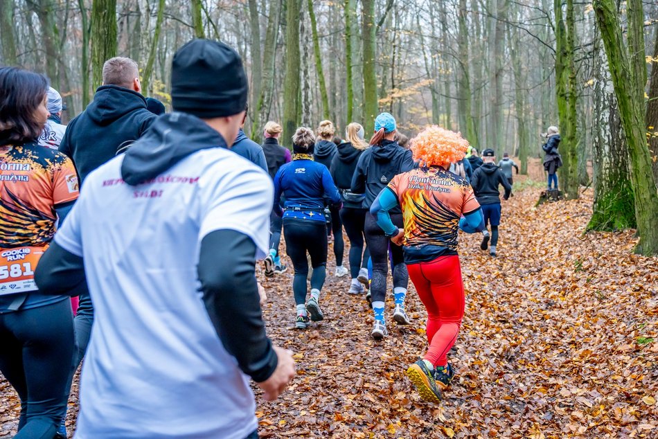 Cookie Run w Lesie Łagiewnickim w Łodzi