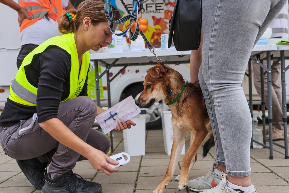 Łódź. Co robić w weekend w Łodzi? Ostatnia Polówka w sezonie, targ staroci, koncerty