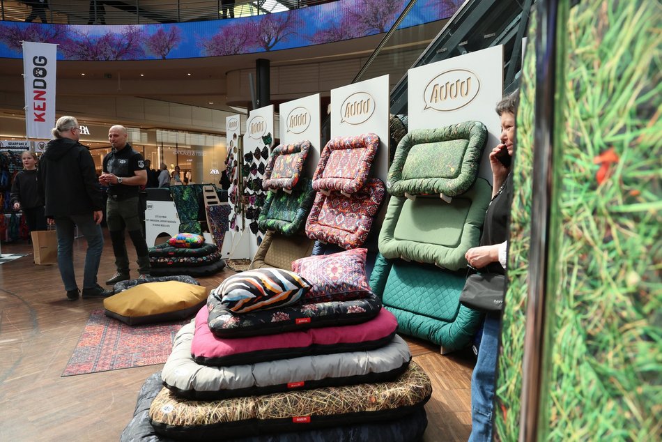 Łódź. Psi Targ w Manufakturze w Łodzi. Każdy miłośnik czworonogów znajdzie tu coś dla siebie