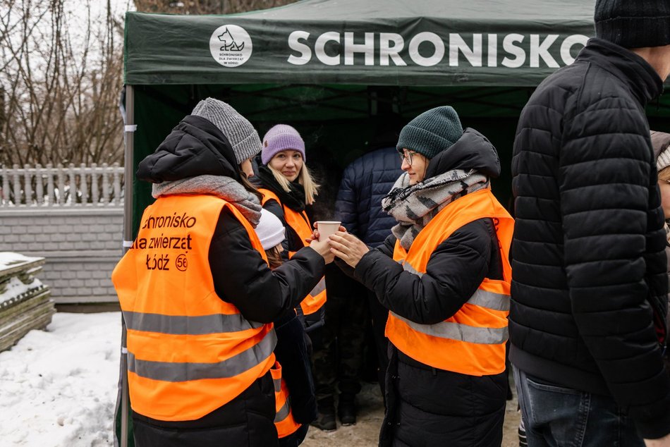 Łódź. Psy ze schroniska w Łodzi znów na spacerze! Dla tych wesołych pyszczków aż chce się chodzić!