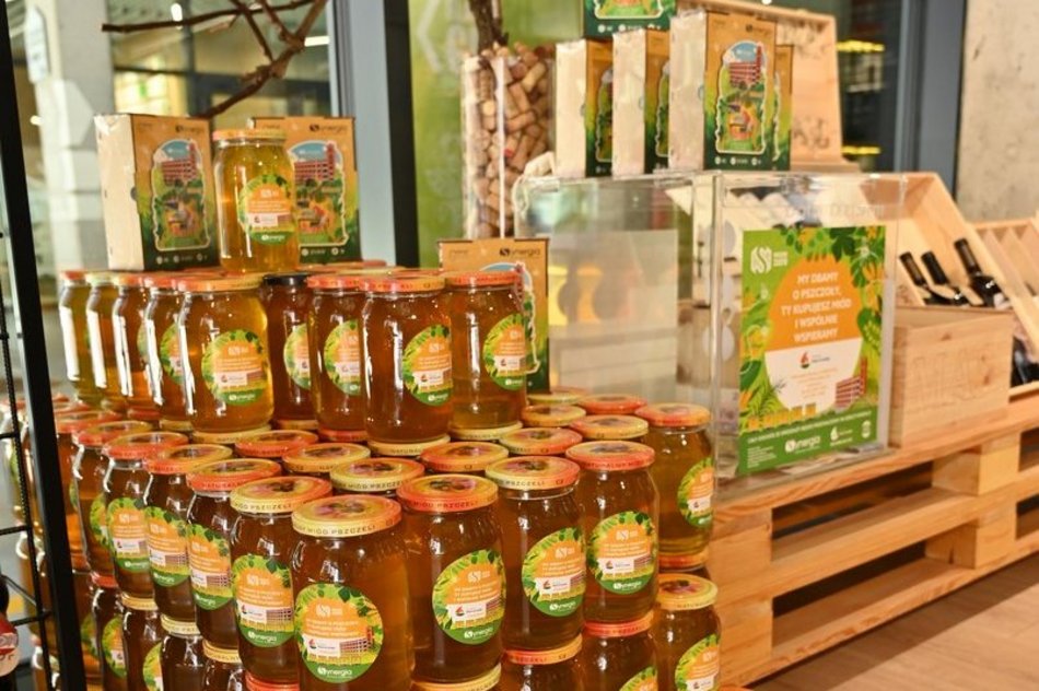 Miodobranie na dachu biurowca Synergia w Łodzi