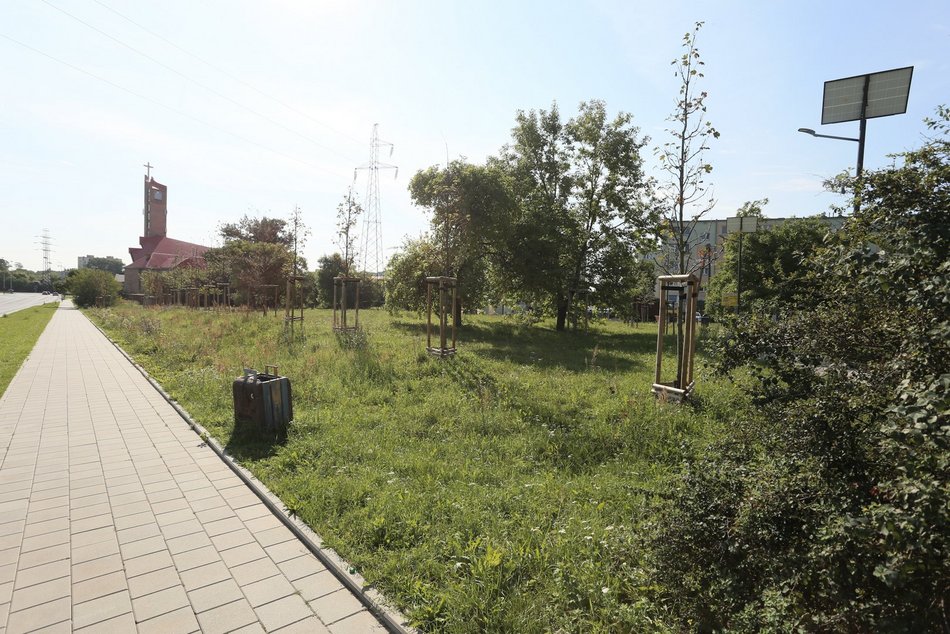 Plac w rejonie ulic Kusocińskiego, Bandurskiego i Króla