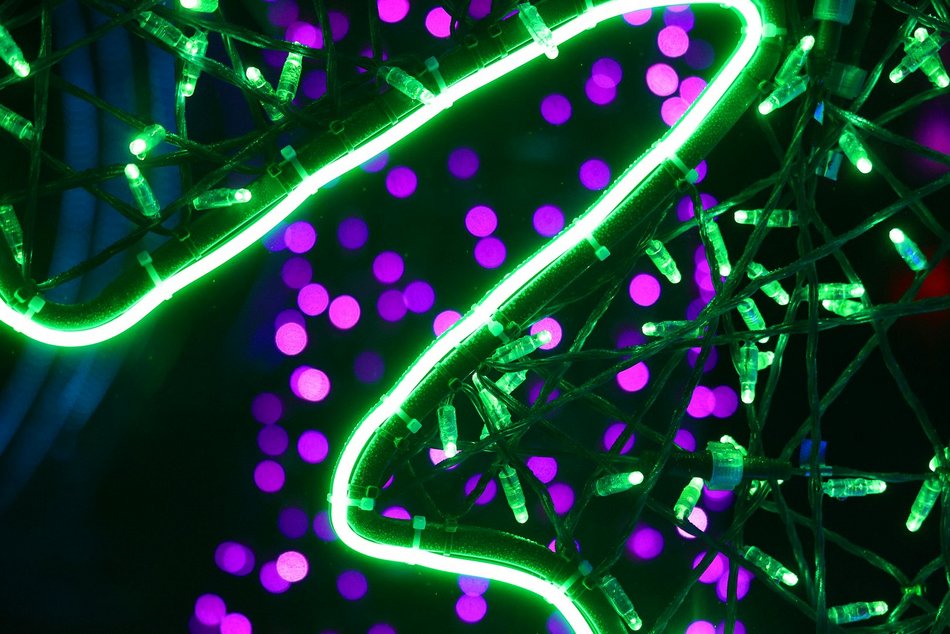 Park Miliona Świateł w Orientarium Zoo Łódź