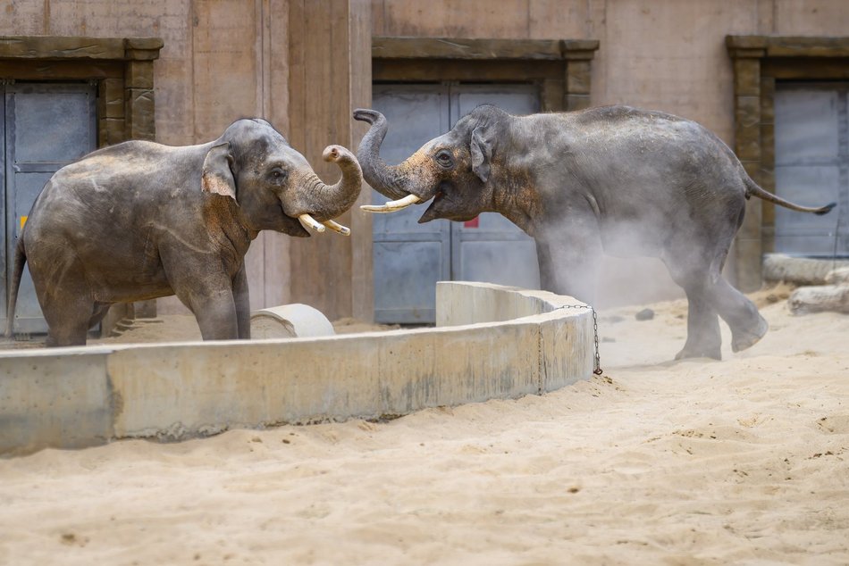 Co robić w weekend w Łodzi? Urodziny Orientarium, Dni Tańca, podwodna sesja i więcej
