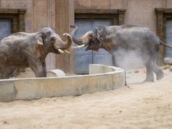 Co robić w weekend w Łodzi? Urodziny Orientarium, Dni Tańca, podwodna sesja i więcej