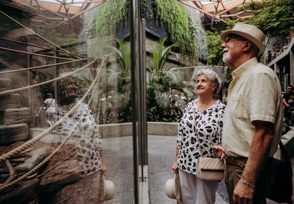 Łódź. Wakacyjna oferta w Orientarium Zoo Łódź. Tanie poranki dla Seniora i Seniorki