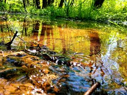 Rozlewisko-dopływ Lamusa. Park Źródliska II